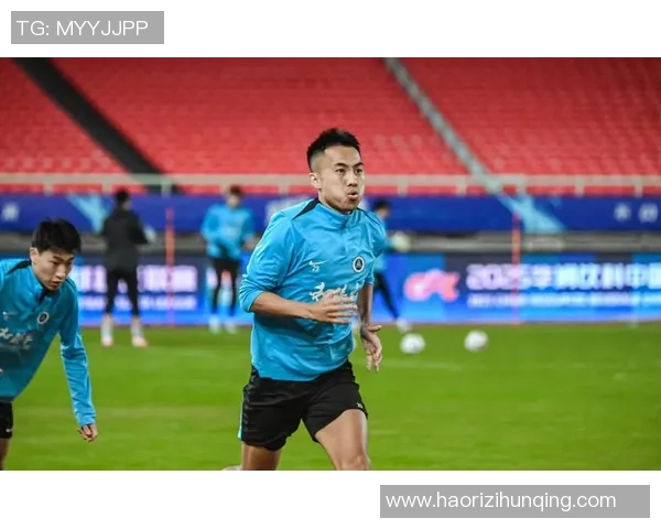 武汉足球队在锦标赛中的战术分析与表现评估