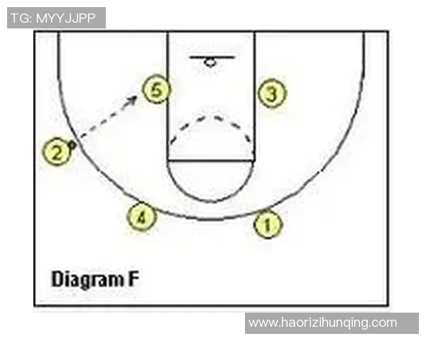 杭州羽毛球队快攻战术深度解析与未来发展展望