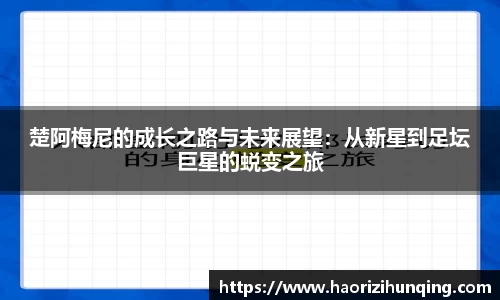 易倍体育