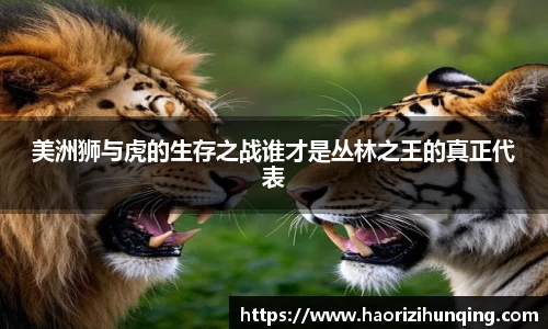 emc易倍